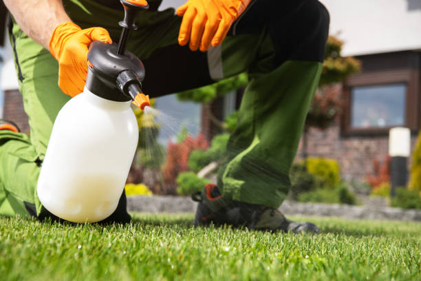 Best Affordable Pest Control Services  in Humboldt, TN