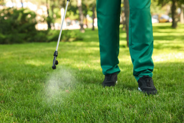 Trusted Humboldt, TN Pest Control Experts