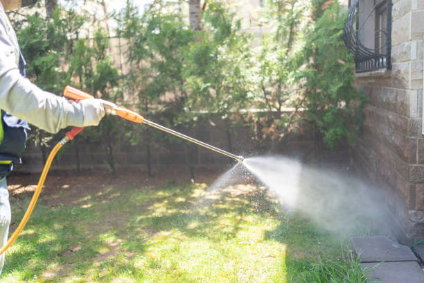 Best Spider Control Near Me  in Humboldt, TN