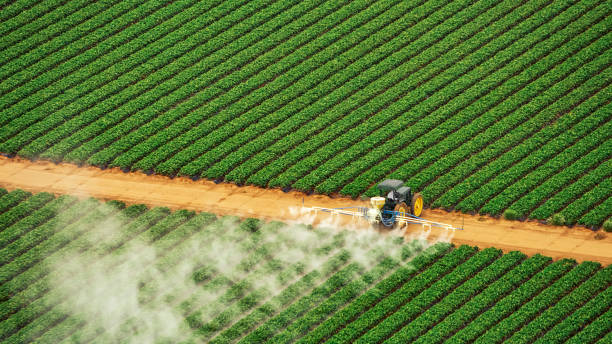 Best Best Pest Control Companies  in Humboldt, TN