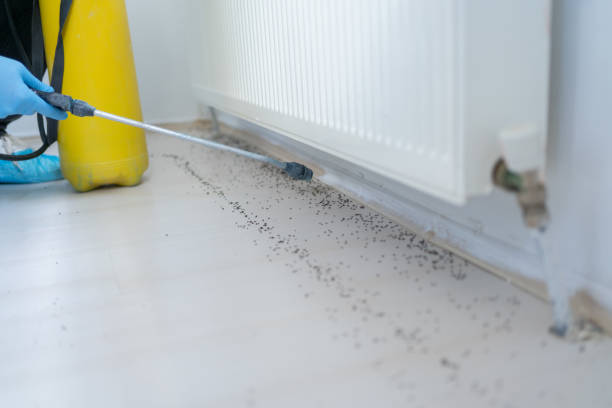 Best Pest Removal Services  in Humboldt, TN