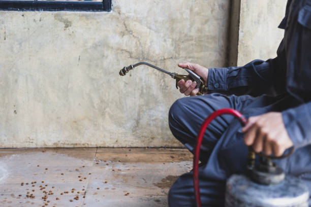 Best Pest Prevention Services  in Humboldt, TN