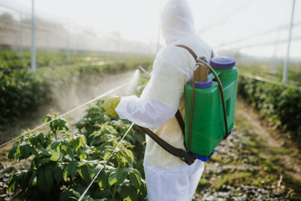 Best Affordable Pest Control Services  in Humboldt, TN